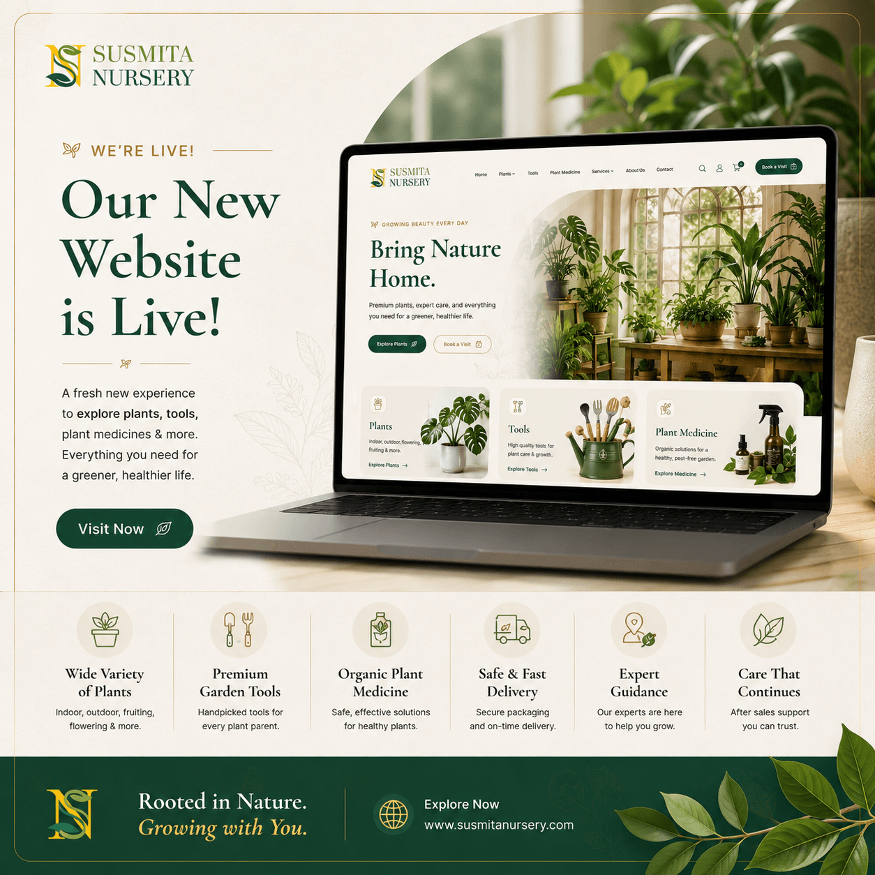 Tools and plant medicine catalog mockup screenshot
